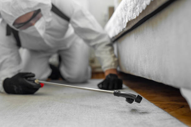 Professional Bed Bug Control technician working in St. Helen, MI