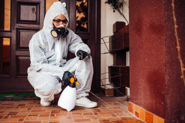 Reliable Bed Bug Control contractor in St. Helen, MI by Nex Pest Control