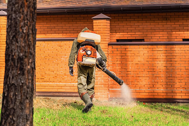 Trusted Bed Bug Control service in St. Helen, MI - Nex Pest Control